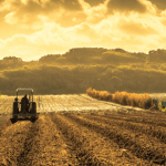 Entenda como João Eustáquio De Almeida Junior destaca o poder dos dados e os principais benefícios da agricultura de precisão no campo.