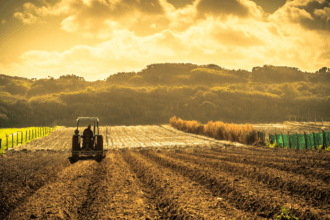Entenda como João Eustáquio De Almeida Junior destaca o poder dos dados e os principais benefícios da agricultura de precisão no campo.