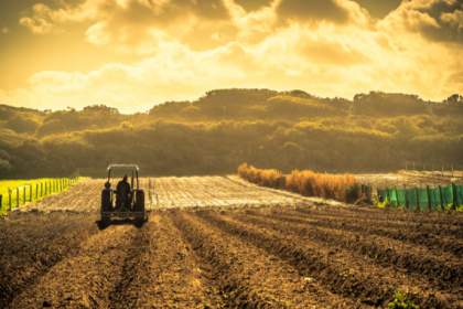 Entenda como João Eustáquio De Almeida Junior destaca o poder dos dados e os principais benefícios da agricultura de precisão no campo.