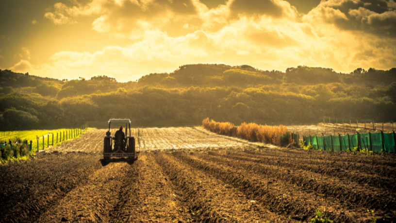 Entenda como João Eustáquio De Almeida Junior destaca o poder dos dados e os principais benefícios da agricultura de precisão no campo.
