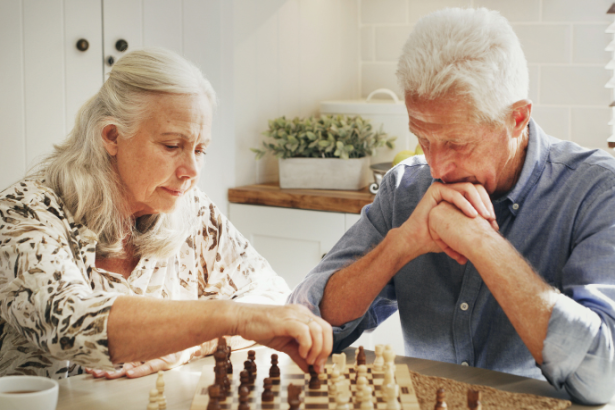 Sindnapi - Sindicato Nacional dos Aposentados, Pensionistas e Idosos