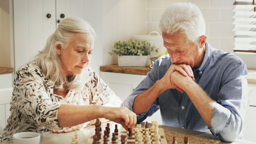Sindnapi - Sindicato Nacional dos Aposentados, Pensionistas e Idosos